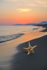 Fototapeta na wymiar summer beach sunset with star on beach