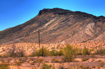 Desert Mountain