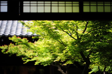 temple-127