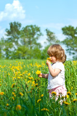 Little girl in a meadow