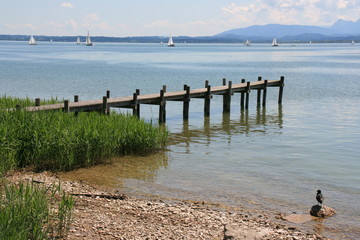Steg am Chiemsee