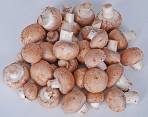braune Champignons