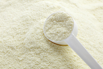 powdered milk dairy food for baby