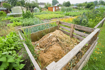 Compost bin in a vegetable garden