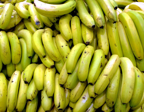 Bananas Bunches