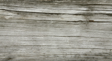 Fototapeta premium old wood texture