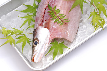 カマス
