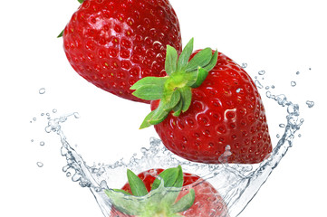 Obst 310