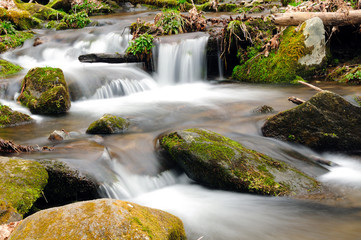Fototapeta na wymiar A mountain stream in the spring