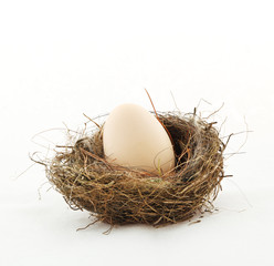 Small nest with big egg