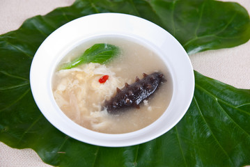 sea slug