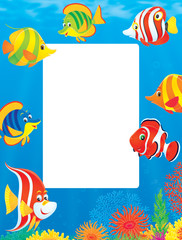 Underwater border or frame of colorful tropical fish