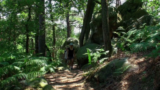 Couple randonnant en for&ecirc;t
