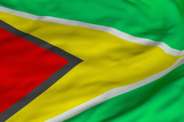 Guyanese Flag
