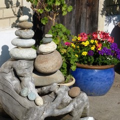 Dekoration aus Steinen, Schwemmholz und Blumen