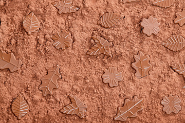 still life of chocolate in cocoa