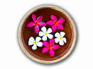 Fototapeta na wymiar Frangipani flowers floating in the ancient bowl place on white