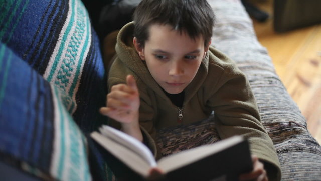 boy reads  book
