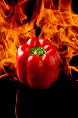 Peperone Rosso con fiamme