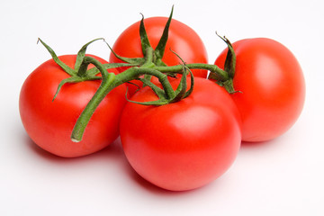 tomato isolated
