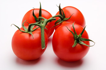 tomato isolated