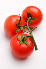 tomato isolated