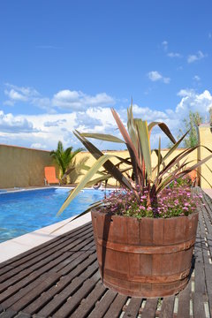 piscine tonneau d&eacute;coratif
