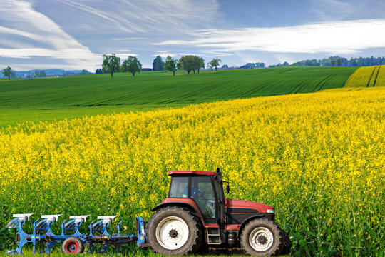 tractor in canola field