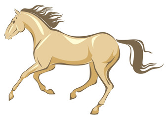Horse gallop