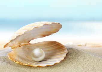 Shell with a pearl - 32542341
