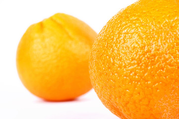 fresh orange