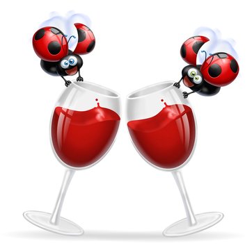 cin cin coccinelle