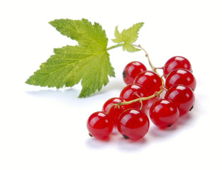 red currant