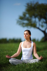 Fototapeta na wymiar beautiful young girl training yoga on sunny meadow