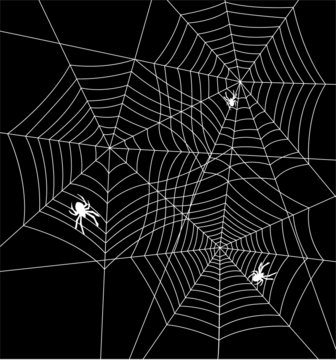 vector illustration of spiders and webs