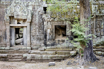 Fototapeta na wymiar świątynia Angkor Wat w pobliżu Siem Reap, Kambodża