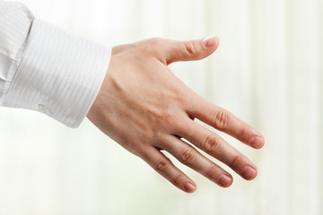 Obraz na płótnie Canvas Handshake
