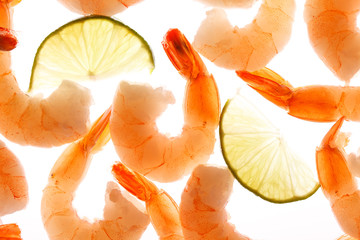 shrimps on the white