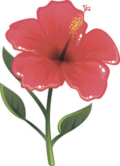 shine vector hibiscus