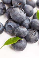 fresh blueberries