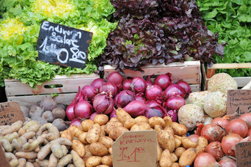 Gemüse auf den Markt