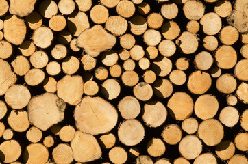 Holzstapel