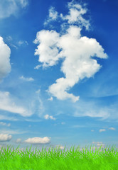 Green grass and blue sky