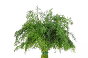 Dill isolated on the white background