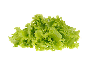 Obraz premium green salad isolated on the white background