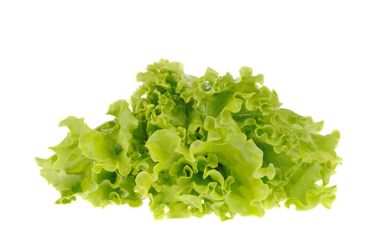 green salad isolated on the white background