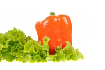 green salad and pepper isolated on the white background