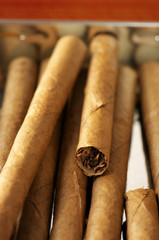 Cigars in box