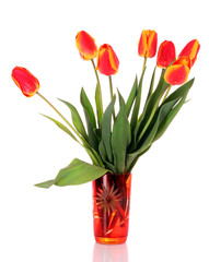 isolated tulips in a glass vase
