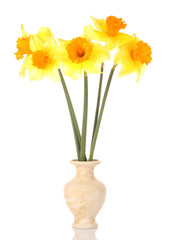 Yellow daffodils in a vase